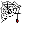 web advertising australia web spider